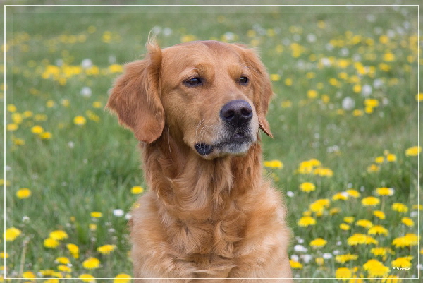 fbIMG_9485 fbIMG_9485