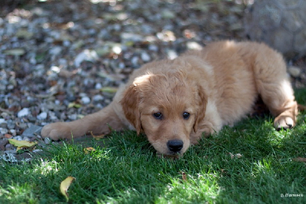 FBIMG_5985 FBIMG_5985