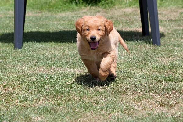 FBIMG_6003 FBIMG_6003