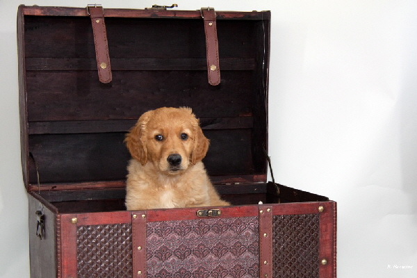 FBIMG_6040 FBIMG_6040