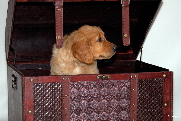 FBIMG_6045 FBIMG_6045