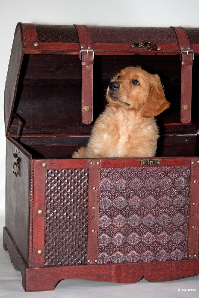 FBIMG_6049 FBIMG_6049