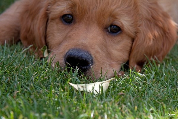 FBIMG_6064 FBIMG_6064