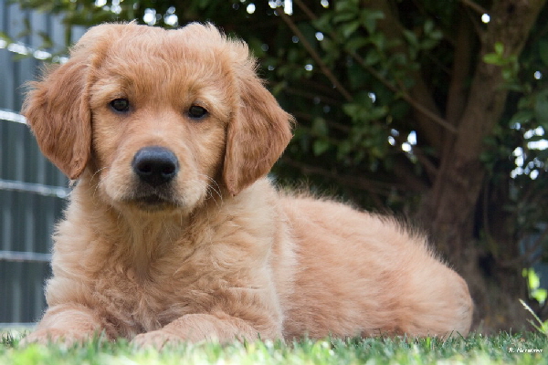 FBIMG_6069 FBIMG_6069