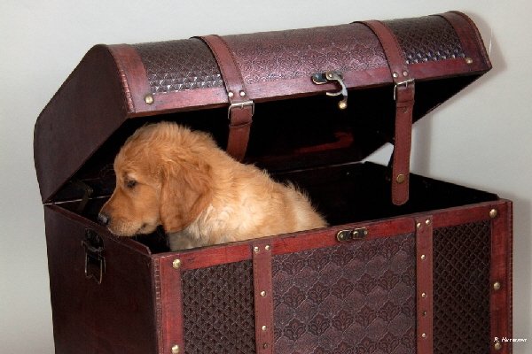 FBIMG_6115 FBIMG_6115