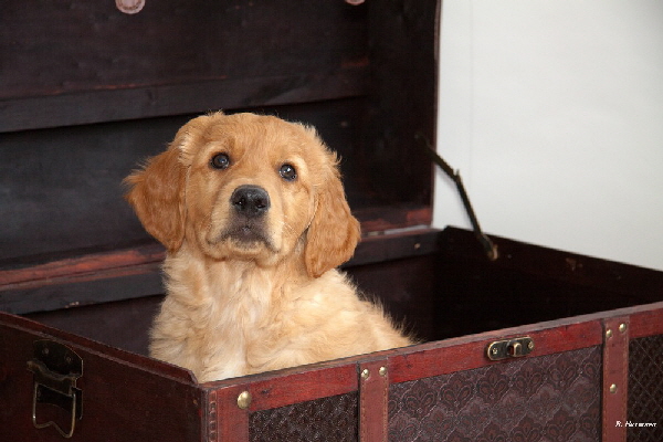 FBIMG_6125 FBIMG_6125