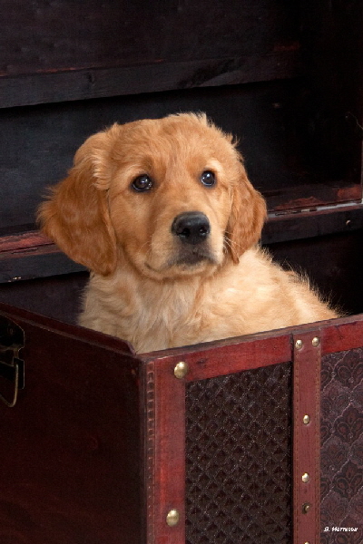 FBIMG_6126 FBIMG_6126