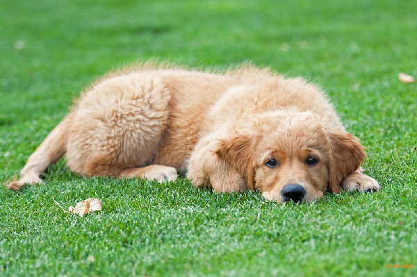 FBIMG_6224 FBIMG_6224