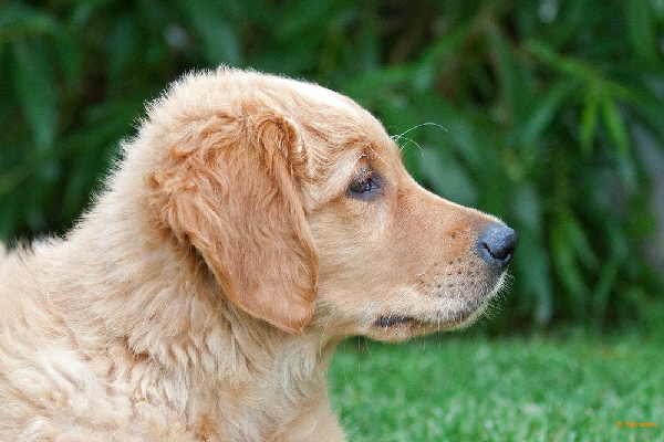 FBIMG_6232 FBIMG_6232