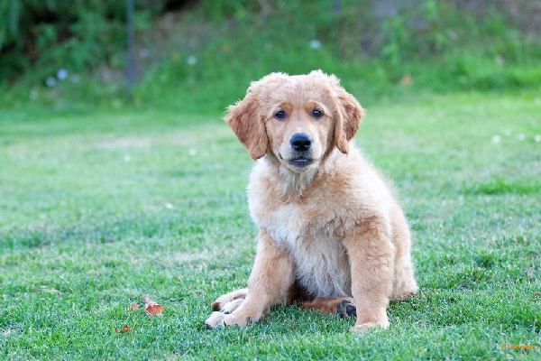 FBIMG_6239 FBIMG_6239