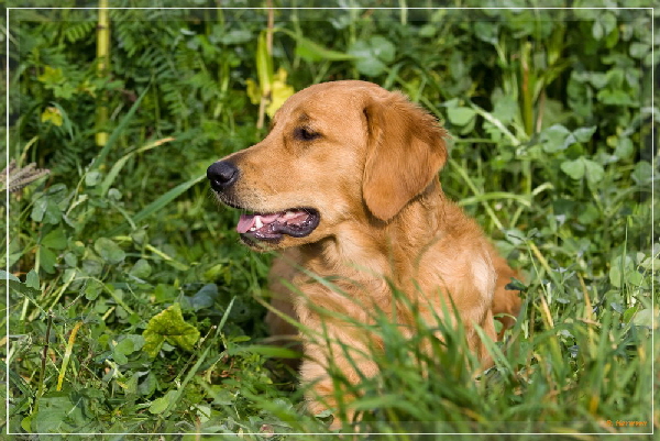 FBIMG_6685 FBIMG_6685