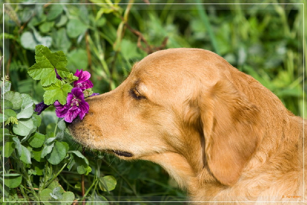 FBIMG_6703 FBIMG_6703