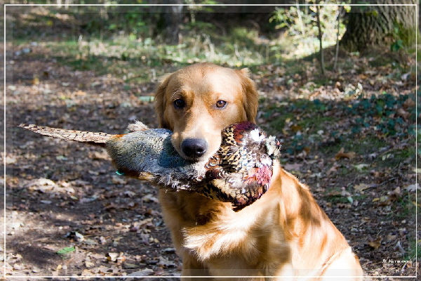 FBIMG_8420 FBIMG_8420