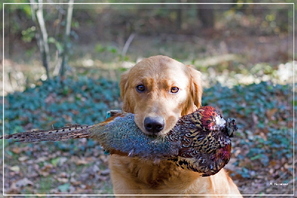 FBIMG_8421 FBIMG_8421