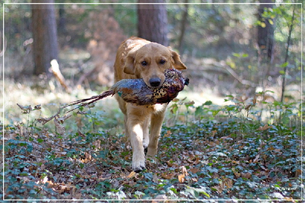 FBIMG_8432 FBIMG_8432