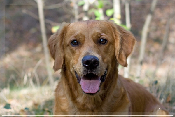 FBIMG_8434 FBIMG_8434