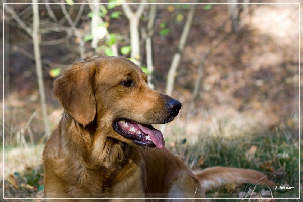 FBIMG_8436 FBIMG_8436