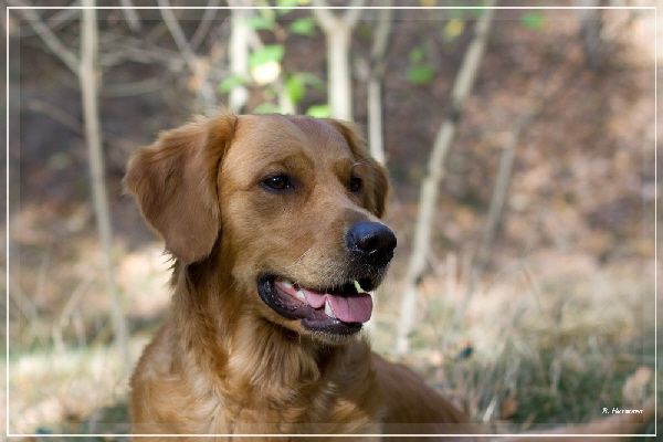 FBIMG_8438 FBIMG_8438