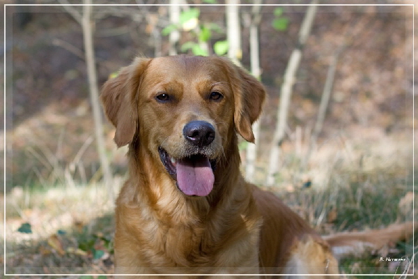 FBIMG_8439 FBIMG_8439