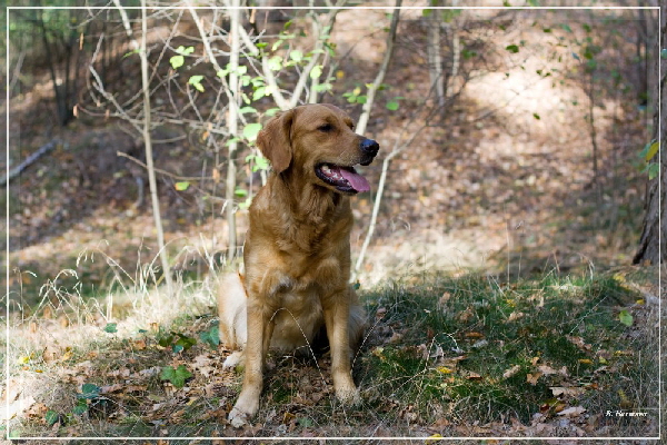 FBIMG_8443 FBIMG_8443