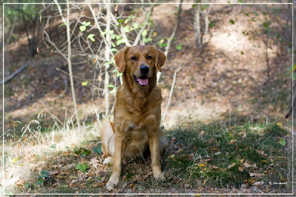 FBIMG_8445 FBIMG_8445