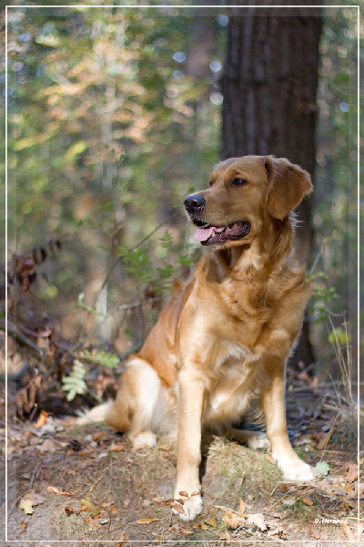 FBIMG_8454 FBIMG_8454