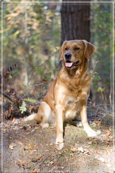 FBIMG_8459 FBIMG_8459