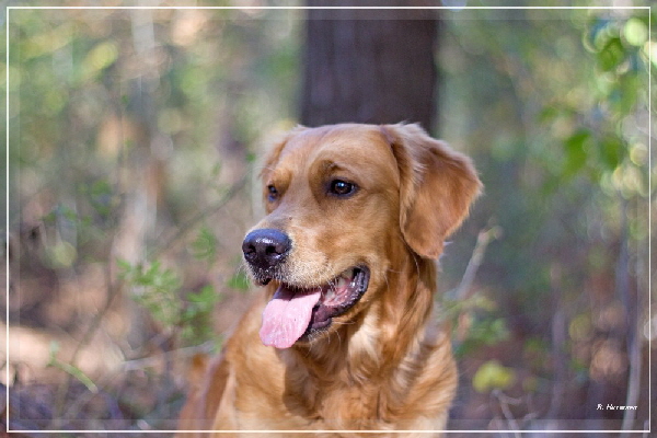 FBIMG_8465 FBIMG_8465