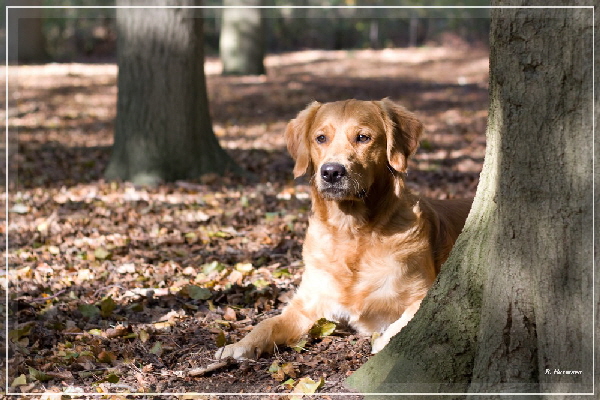 FBIMG_8494 FBIMG_8494