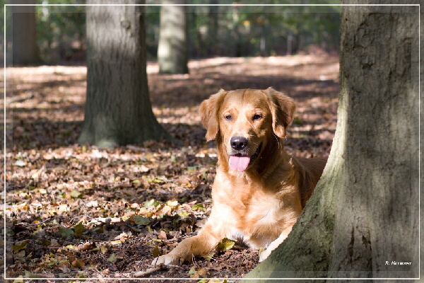 FBIMG_8498 FBIMG_8498