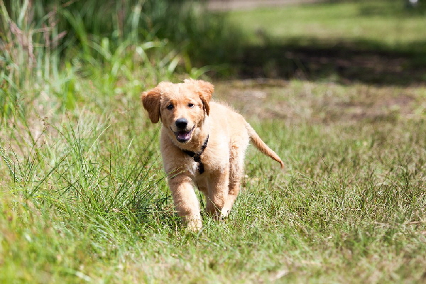 dropboxIMG_6392 dropboxIMG_6392