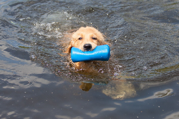 dropboxIMG_6442 dropboxIMG_6442