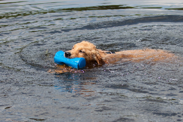 dropboxIMG_6447 dropboxIMG_6447