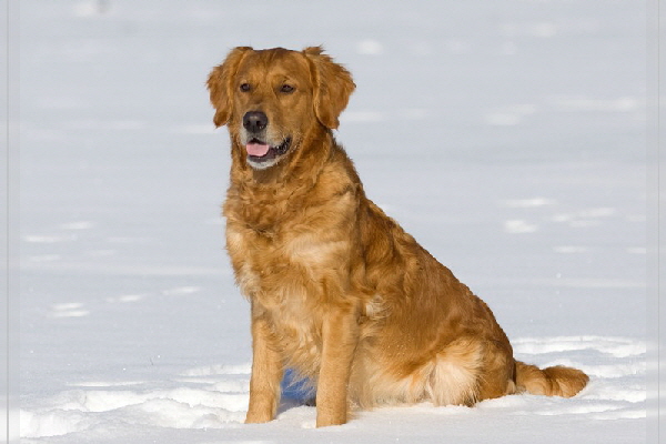 fbIMG_0479 fbIMG_0479