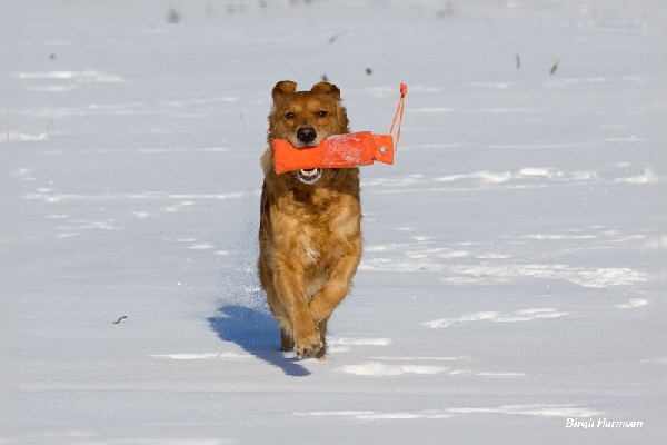 fbIMG_504B fbIMG_504B