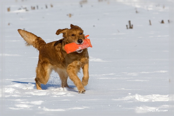 fbIMG_524B fbIMG_524B