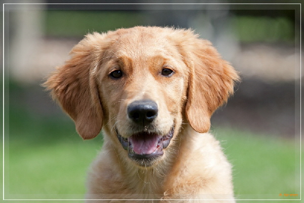 fbIMG_6550 fbIMG_6550