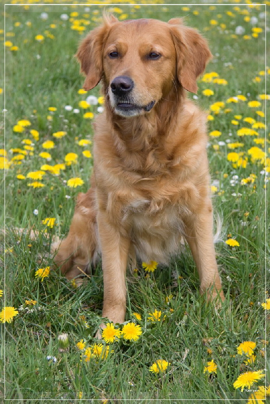 fbIMG_9475 fbIMG_9475