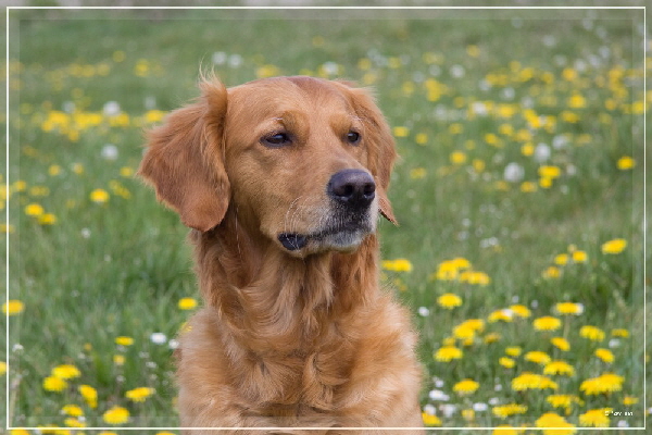 fbIMG_9484 fbIMG_9484