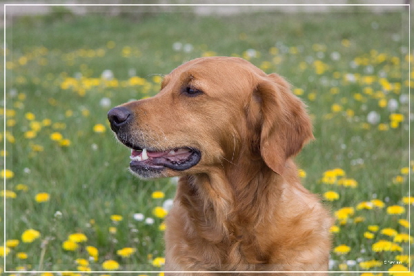 fbIMG_9495 fbIMG_9495