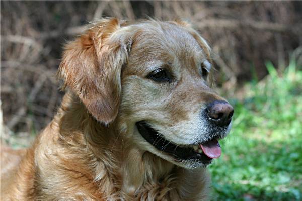 Happymover Chacon IMG_4935.b