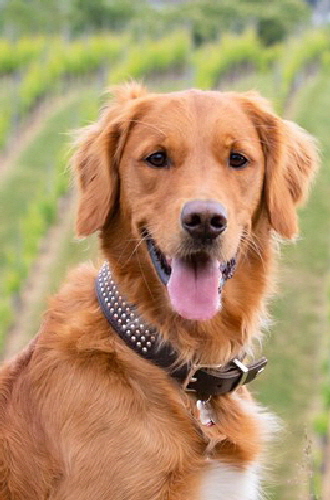 fbBuddy_2jahre_web_06