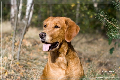 FBIMG_8539 FBIMG_8539