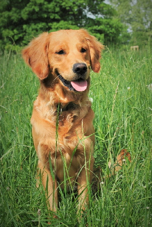 fb!cid_FB15C56A-3876-44D4-B955-3A28B28025A5 fb!cid_FB15C56A-3876-44D4-B955-3A28B28025A5