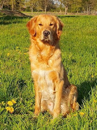 fb20200501_200652 fb20200501_200652