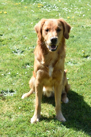 fbDSC_0396 fbDSC_0396