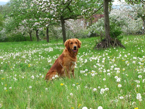 fbIMG-20200428-WA0017 fbIMG-20200428-WA0017