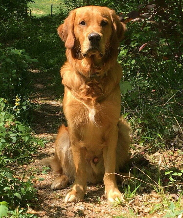 fbIMG_6965 fbIMG_6965