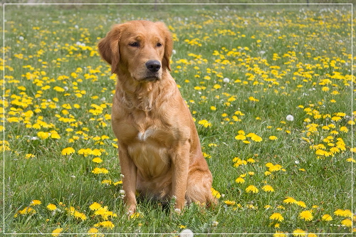 fbIMG_9460 fbIMG_9460