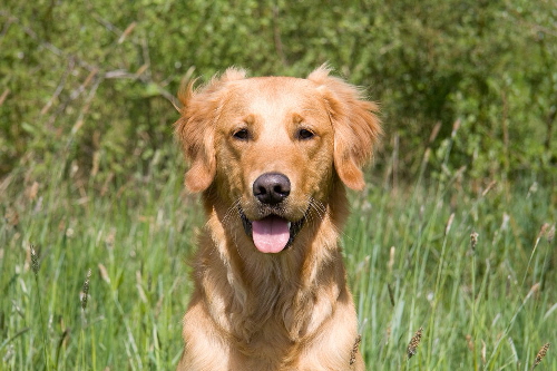 fbIMG_9508 fbIMG_9508